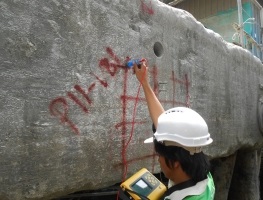 Half  Cell Potential