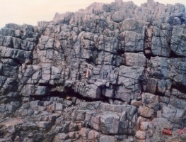 Outcrop of Extensively Jointed Hornfels along The Coast                      