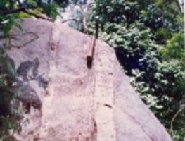Series Of More Resistant Quartz Veins                                        