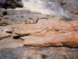Microdiorite Dyke Cutting Into Hornfels                                      